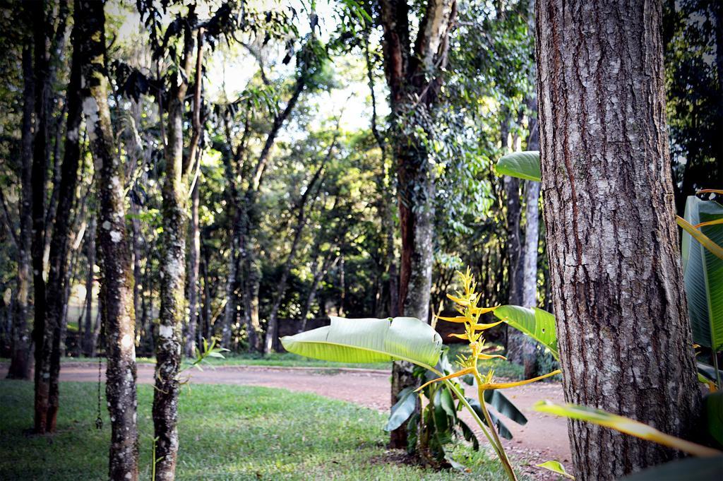 Caba\u00F1as Las Termas Villa Oberá Exterior foto